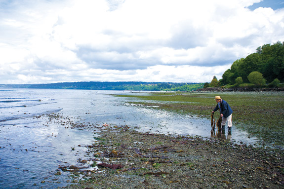 Shiro has a special license to pull seafood from Shilshole Bay for restaurant dishes