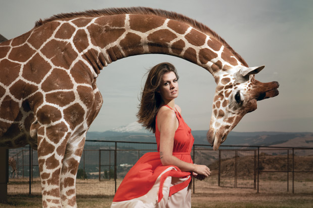 Illustrator Stacey Rozich is drawn to animals, both real and imagined